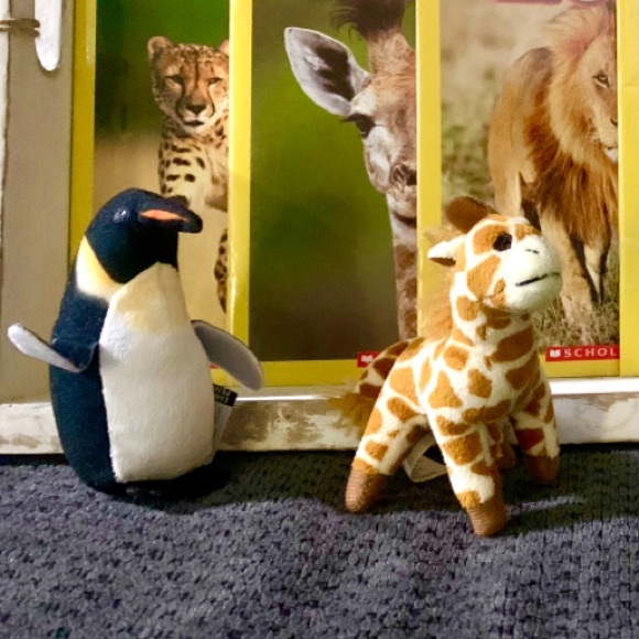 National Geographic Kids Safari Animals Book Set and mini plushies - Picture 7 of 12